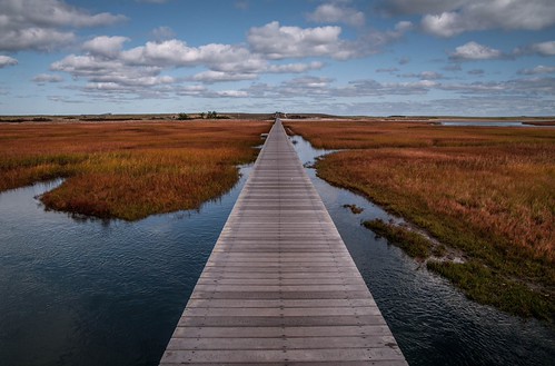 Sandwich Pathway, Cape Cod | by yolanda_cuevas_sanchez
