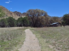 Chiricahua