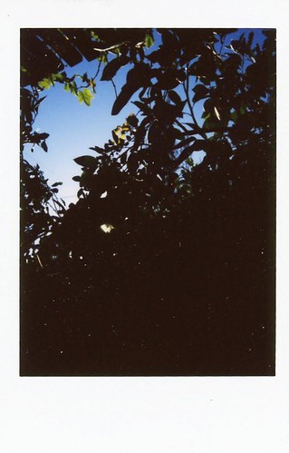 Untitled | by Sophie Cohen