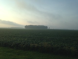Farm Field Morning