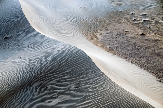Desert Abstract