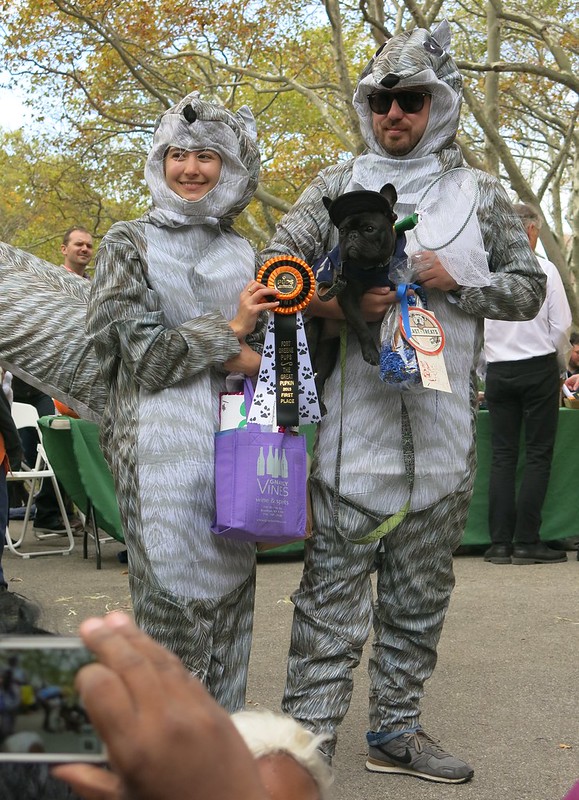 Animal Control (First Prize, Fort Greene Pup Costume Parade, 2015)