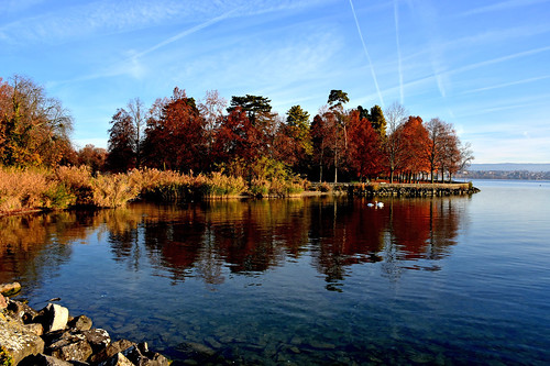 automne rivière parc reflets paysages morges embouchure indépendance fabuleuse d7200