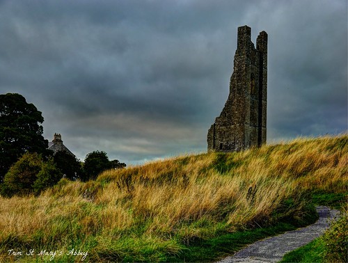sky tower abbey yellow architecture landscape outdoor path sony trim a7 stmarysabbey