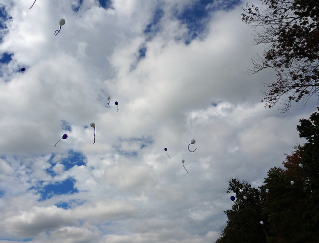 Memorial ballons at the LFA's Walk to End Lupus