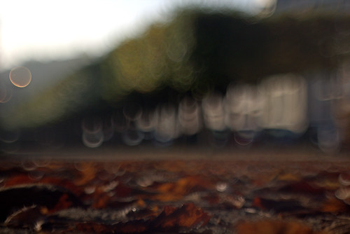 Une autre vision de l'automne. | by pixelia2