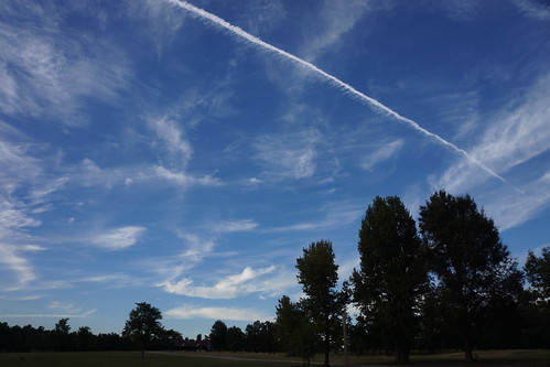 Late afternoon clouds and contrail over oak trees | by jmlwinder