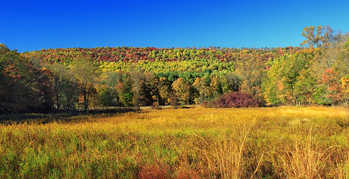 autumn trees sky mountain field landscape pennsylvania meadow creativecommons poconos cloudless appalachianmountains monroecounty chestnutridge sgl168 stategameland168 stategamelands168 aquashicolacreekvalley