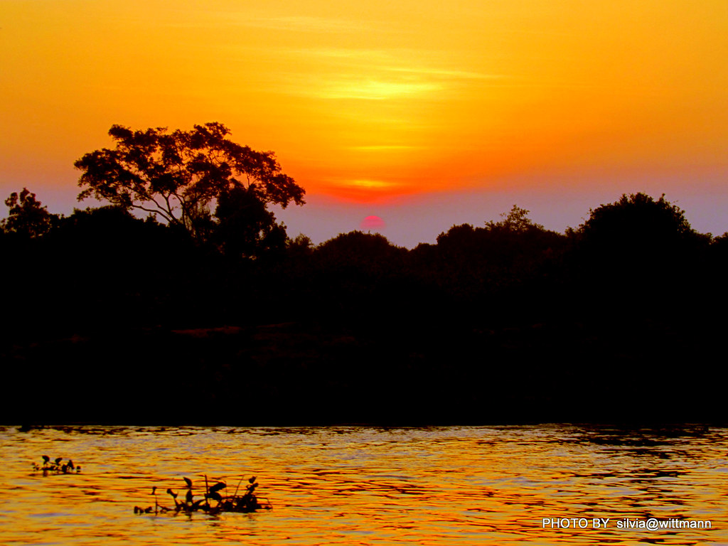 Anoitecendo no Pantanal Matogrossense