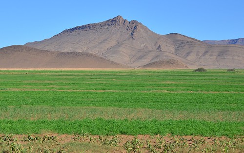 desktop landscape desert morocco irrigation antiatlas featured ouedseyad seyadvalley
