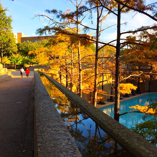 iphoneography ftworth fortworth dfw texas lonestarstate downtown fall autumn urbanlandscape cityscape outdoor watergarden water reflection yellow foliage pool serene trees walkway path ledge sunset settingsun iphone6 iphonesix