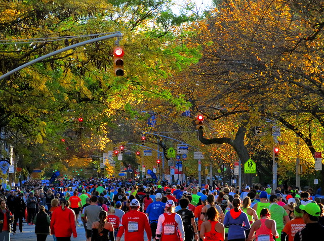 NYC Marathon Day #20