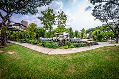 Singapore Botanic Gardens-1