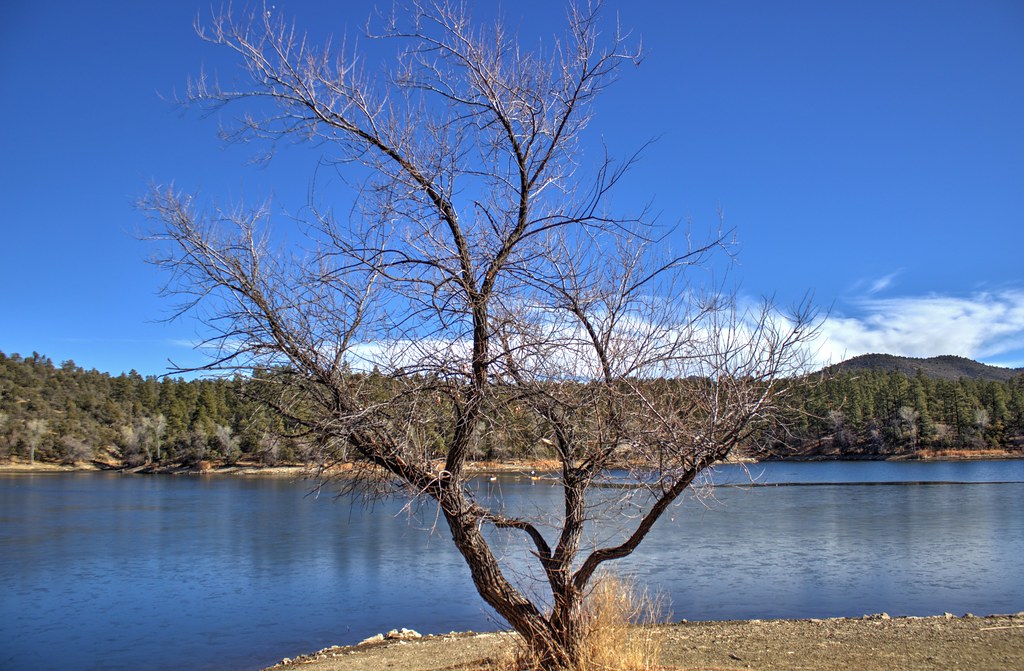 Lynx Lake Loop F