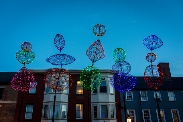 Lights at Boothby Square