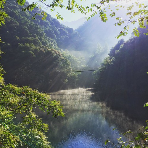Ninghai by dino.qi, square squareformat lark iphoneography instagramapp uploaded:by=instagram