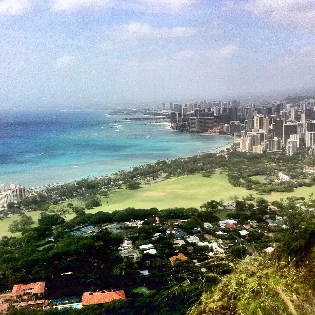 “There is no surer foundation for a beautiful friendship than a mutual taste in literature.” ―P.G. Wodehouse (at Diamond Head)