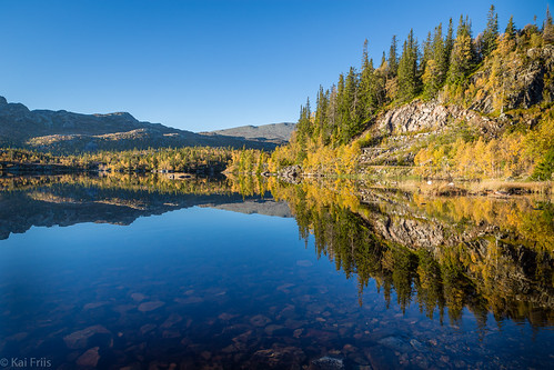 birch blue calm fall lake mountain pine sky sunrise water yellow telemark norway no reflection autumn