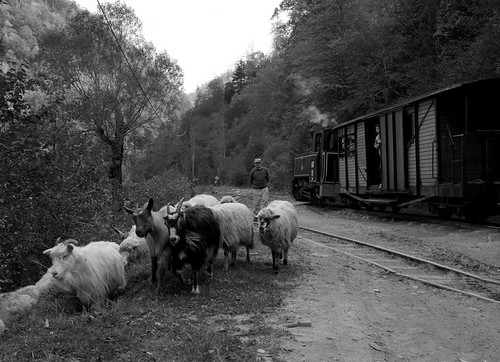 On the Move | by Water and Rails