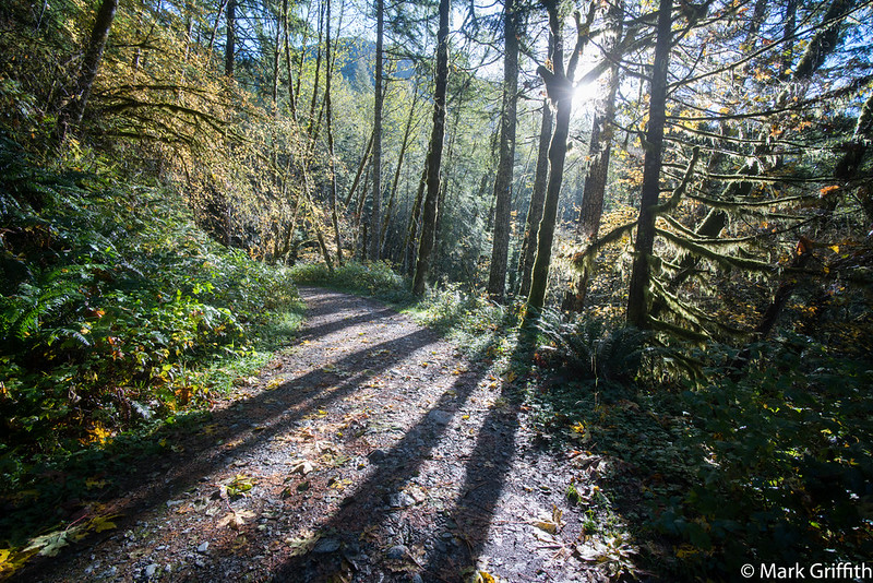 Dingford Creek Trail