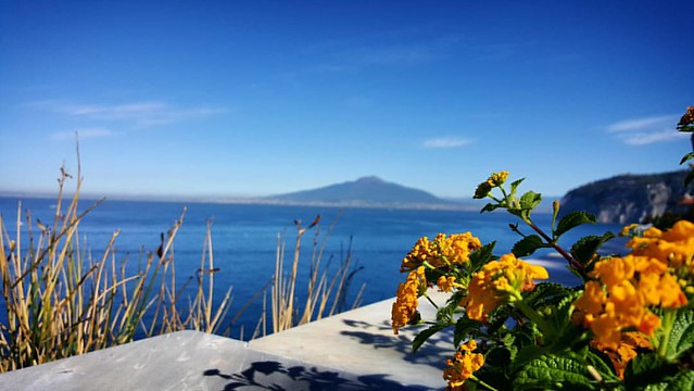 #vesuvius #volcano #sorrento #italy #flowers #sea #galaxys6