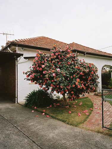 Untitled | by bou-vie