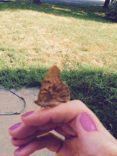 Faerie friend | by Retrochick79