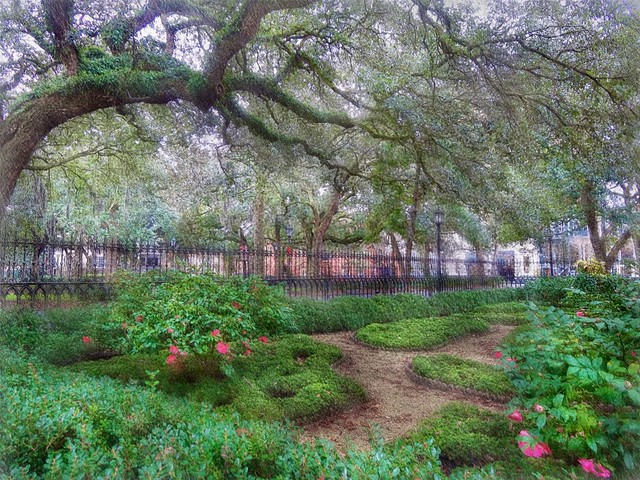 Winter garden, Savannah
