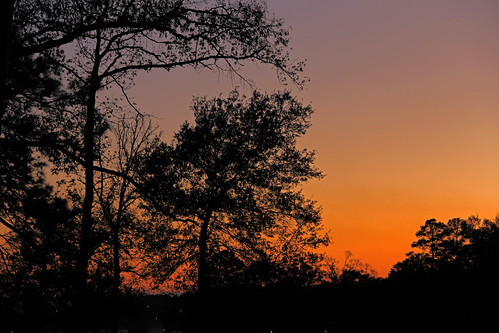 sunset colours colors easttexas trees silhouettes sky skies