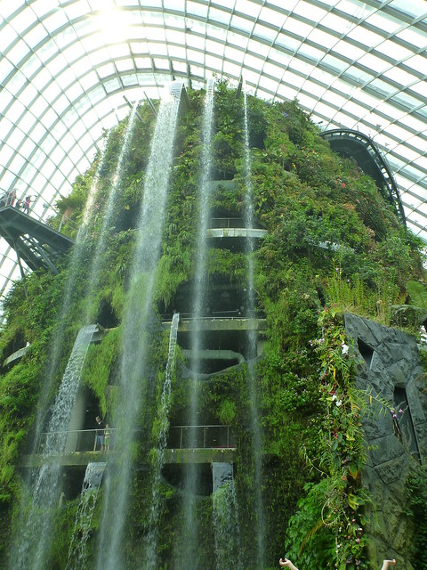 The Falls in the Cloud Forest Dome