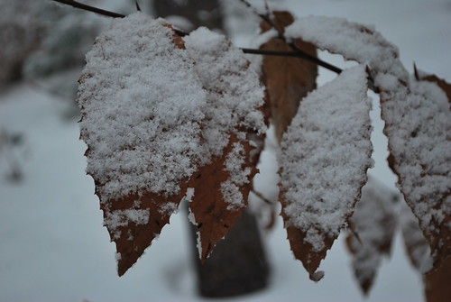 Tyler's Camera 052 (14) | by Tyler Knorr