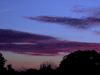 P520 sunset