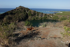 Lac Niamawi et l'incruste