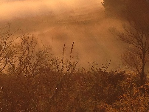 nebbia fog sky alba dawn colline hills iphone5c nwn terricciola