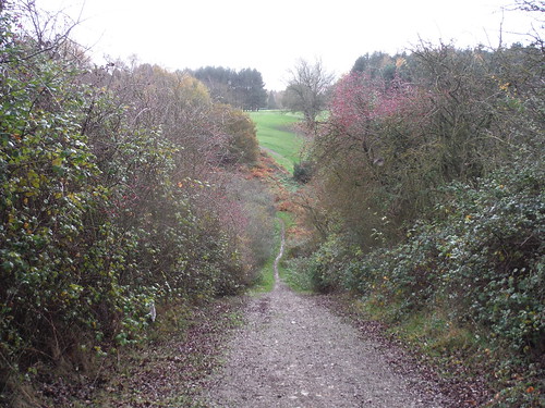 Steep Descent along the Greensand Ridge Walk SWC Walk 232 Lidlington to Flitwick