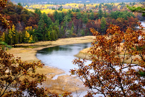 ausable fall color water trees nature