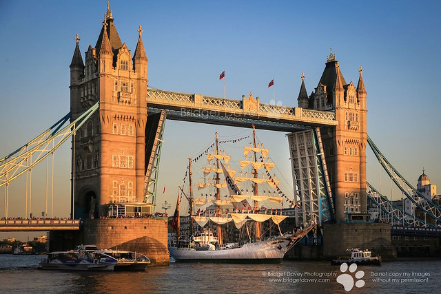 Tallship ARC Gloria | London Tower Bridge