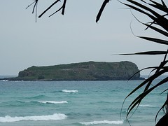Cook Island Aquatic Reserve