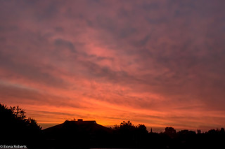 #283 Dawn over Wrexham