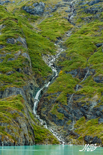 Glacier Bay