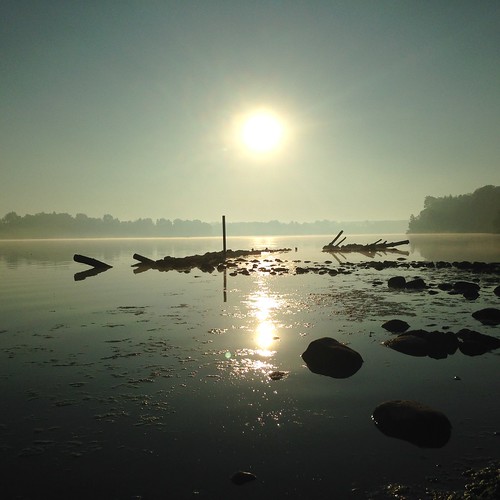 morning sun mist lake ontario london misty sunrise early outdoor shoreline fanshawe fanshawelake