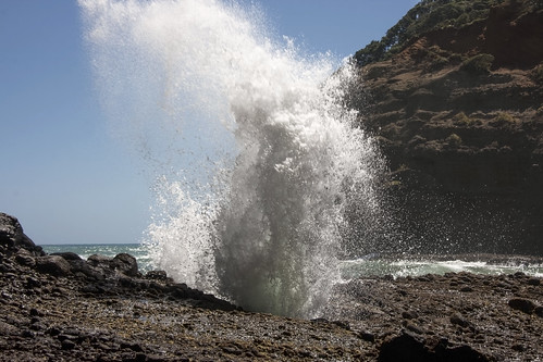 newzealand outcrop black beach water rock landscape coast sand rocky spray auckland coastal blowhole nz spout explode bethells waterscape exploding bethellsbeach tehenga lisaridings fantommst