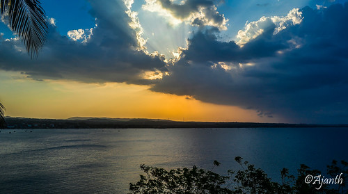 sunset sea sky cloud plant tree beach water yellow skyline clouds landscape evening seaside nikon outdoor palm shore srilanka behind 1855mm seashore clounds trincomalee easternprovince d3100