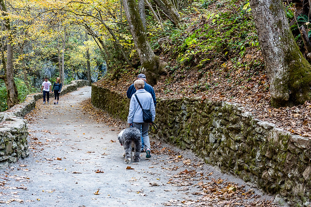 Some parks host special pet friendly events, or events just for pets - this is Natural Bridge State Park