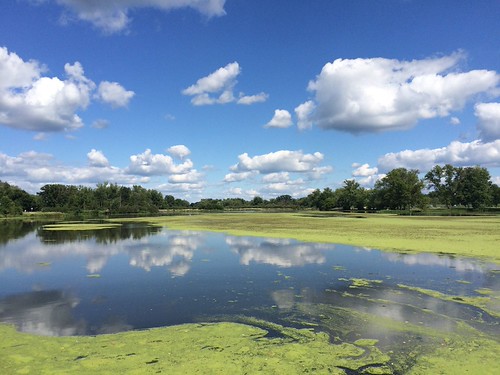 Trempealeau County, landscape wisconsin nature water