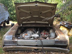 Car graveyard - Oldsmobile