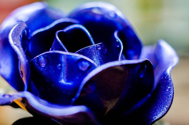 blue metal rose