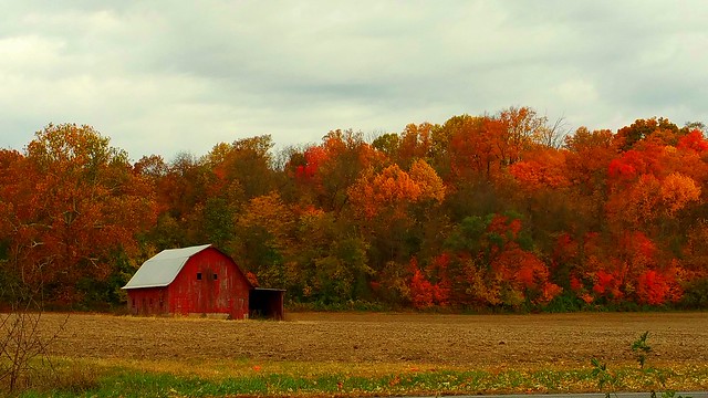 Autumn in the Country