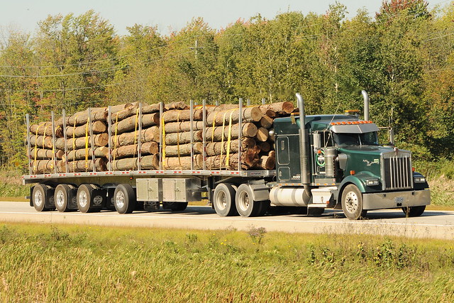 Kenworth W900 truck and flatbed trailer with a load of logs Morrisburg, Ontario Canada 09172015 ©Ian A. McCord