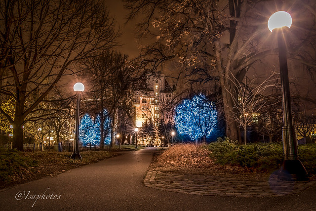 Ottawa Christmas lights